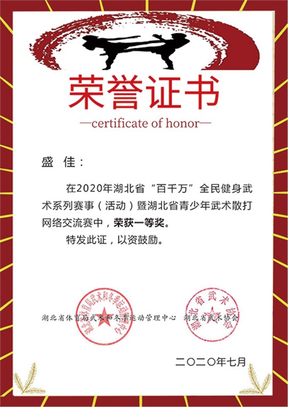 青少年武术散打网络交流赛一等奖证书-盛佳