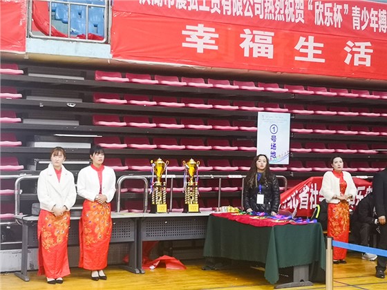 洪湖青少年比赛风采