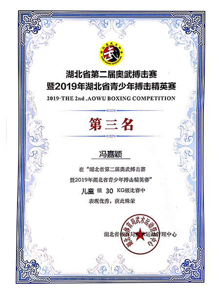 湖北第二届奥武搏击赛第三名-冯嘉颖