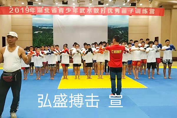 2019湖北省武术散打优秀苗子夏训营35