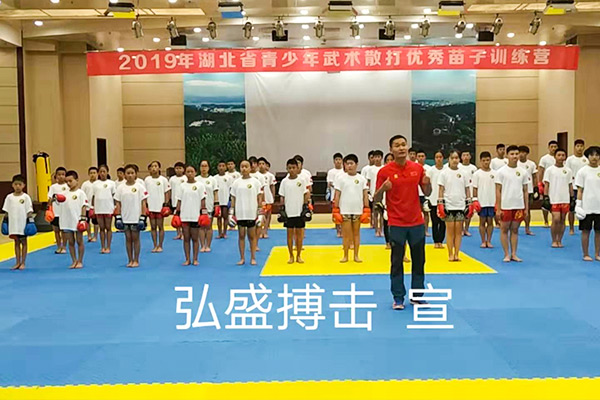 2019湖北省武术散打优秀苗子夏训营37