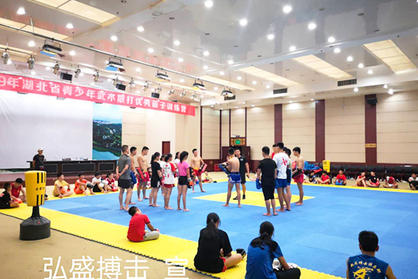 2019湖北省武术散打优秀苗子夏训营54