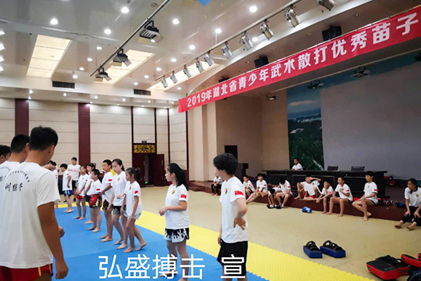 2019湖北省武术散打优秀苗子夏训营56