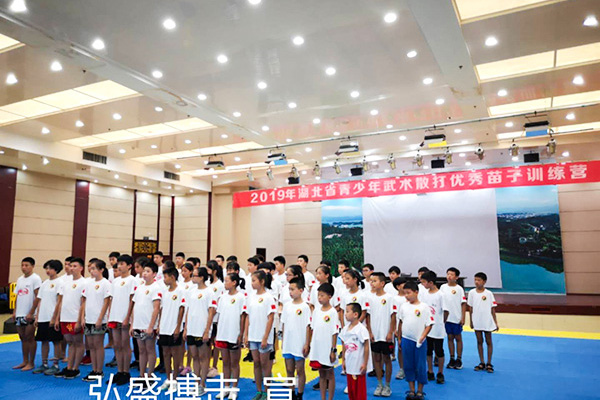 2019湖北省武术散打优秀苗子夏训营58