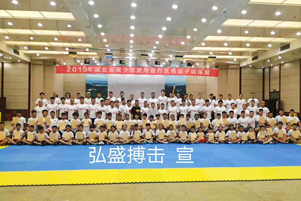 2019湖北省武术散打优秀苗子夏训营62