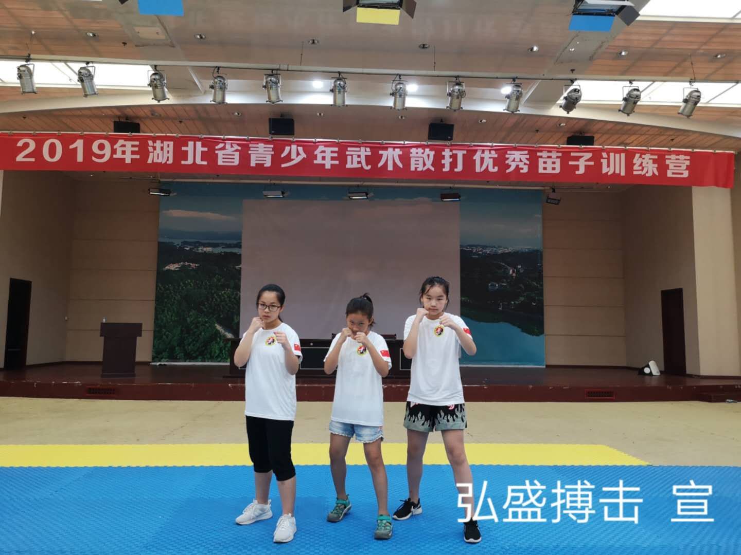 体育格斗运动---散打
